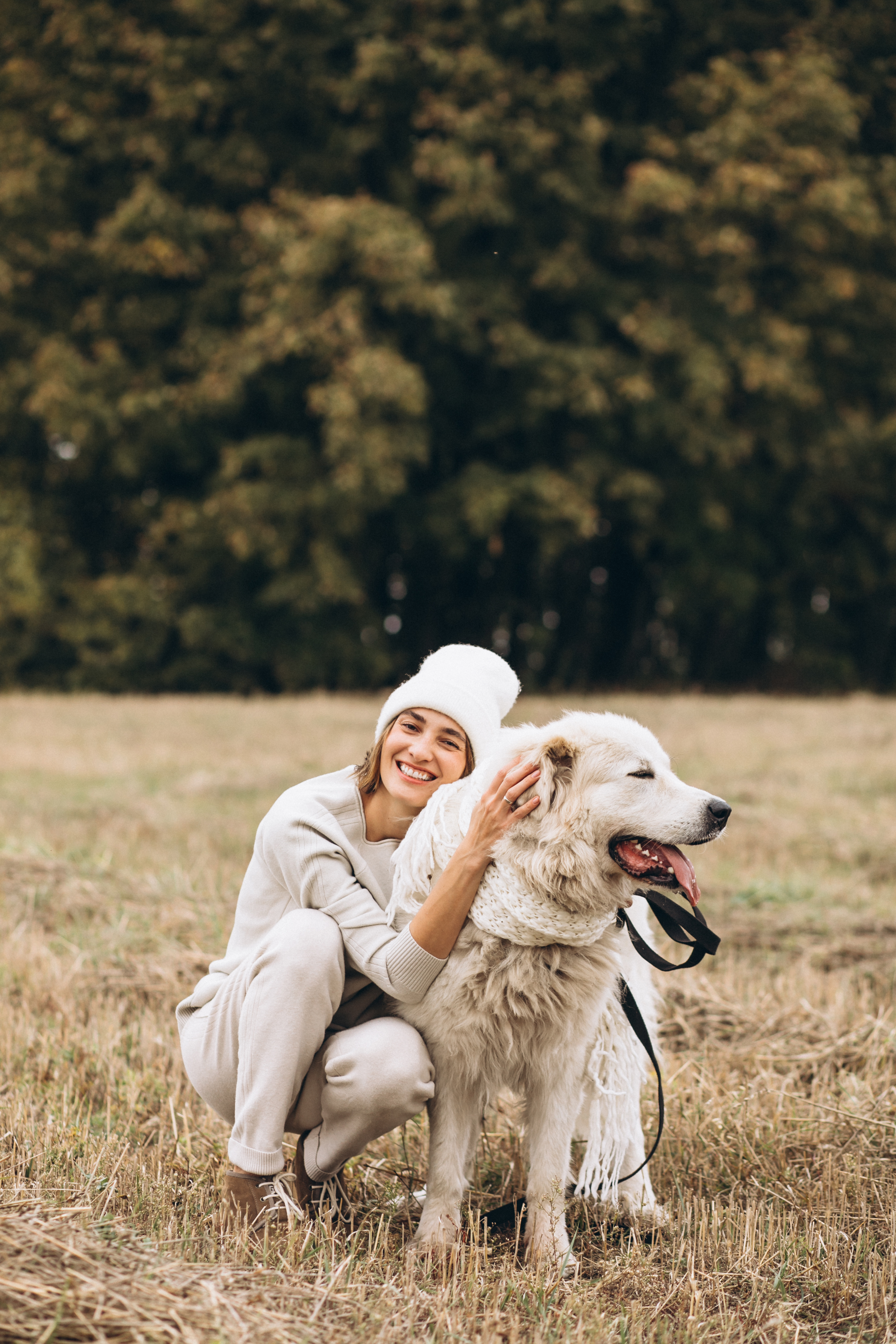 A warm, high-quality portrait moment between a pet parent and a happy dog